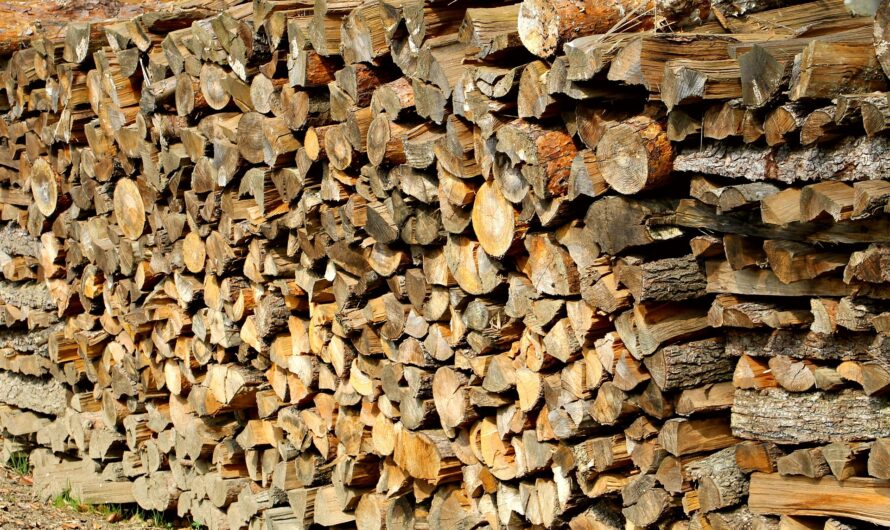 Le guide ultime pour trouver le meilleur fournisseur de bois de chauffage